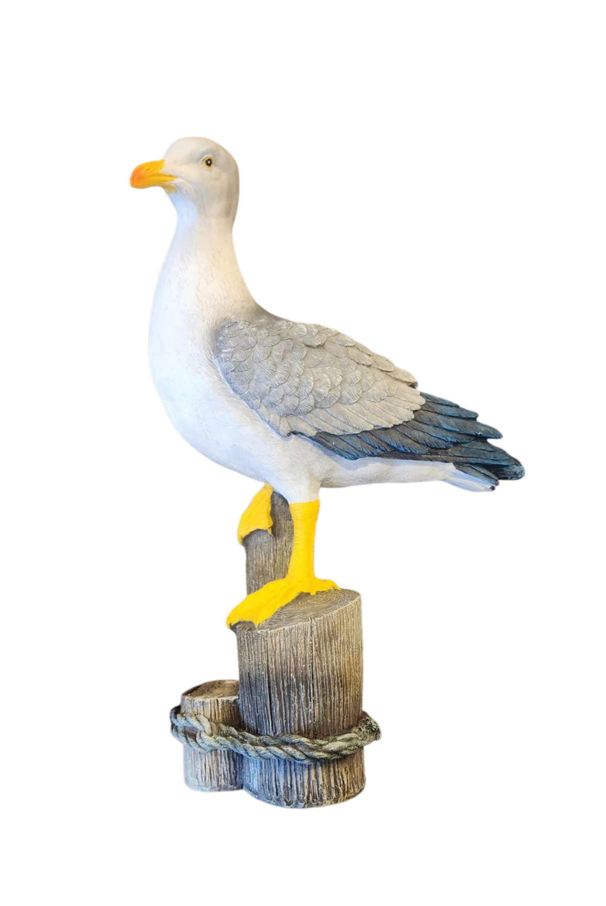 Large Seagull On Post