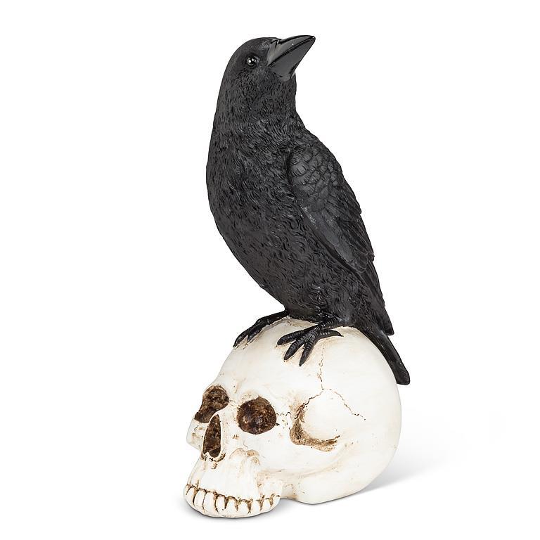 Raven On Skull