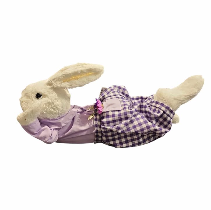 17" Relaxed Bunny