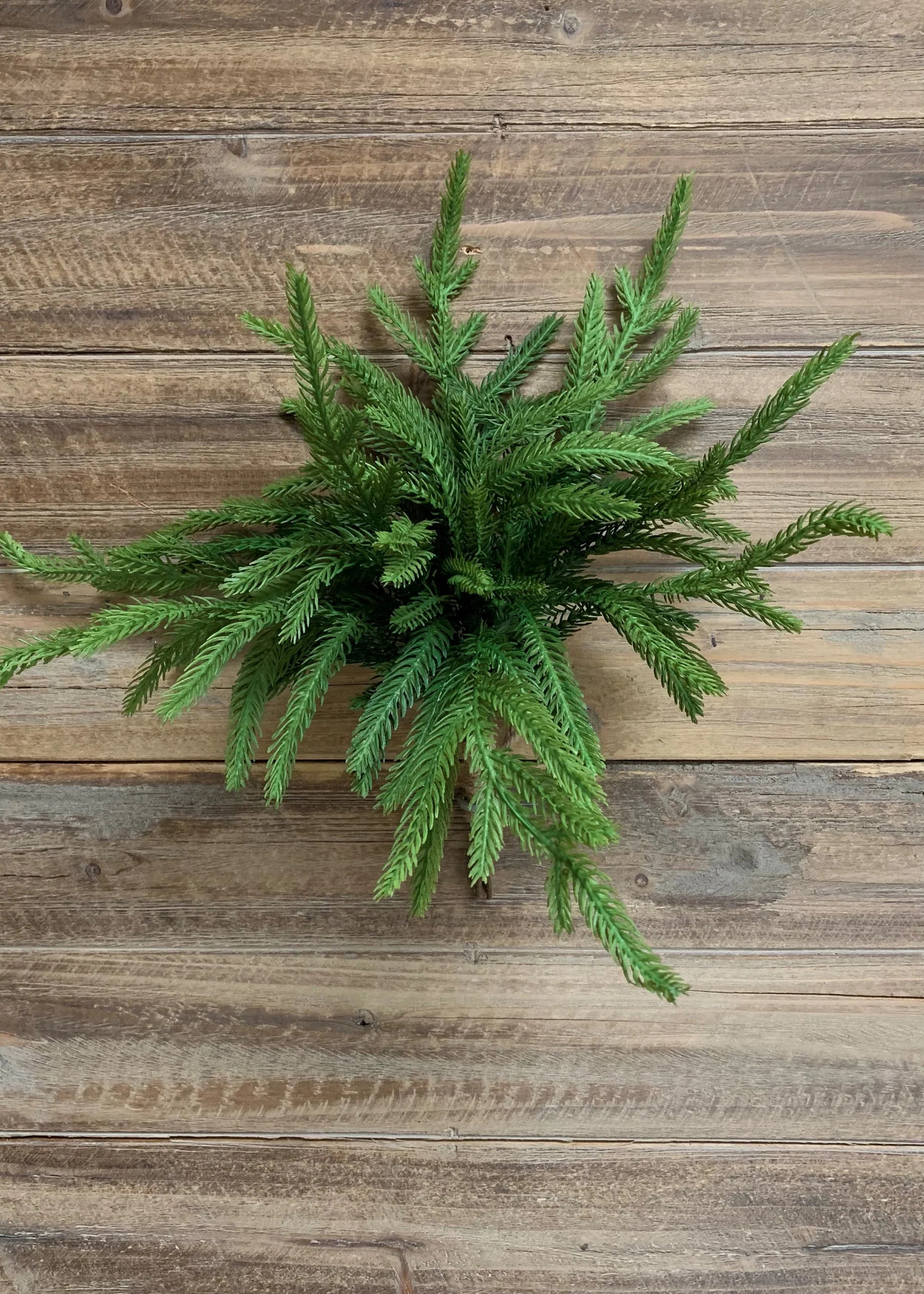 12" Real Touch Norfolk Pine Bundle