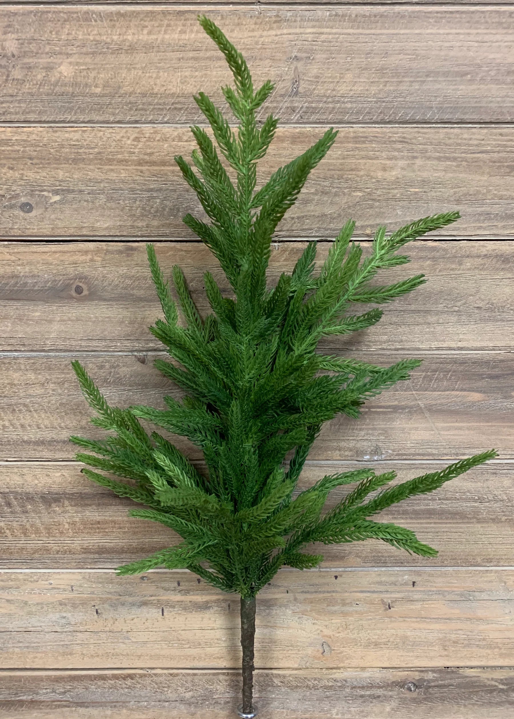 29" Real Touch Norfolk Pine Branch
