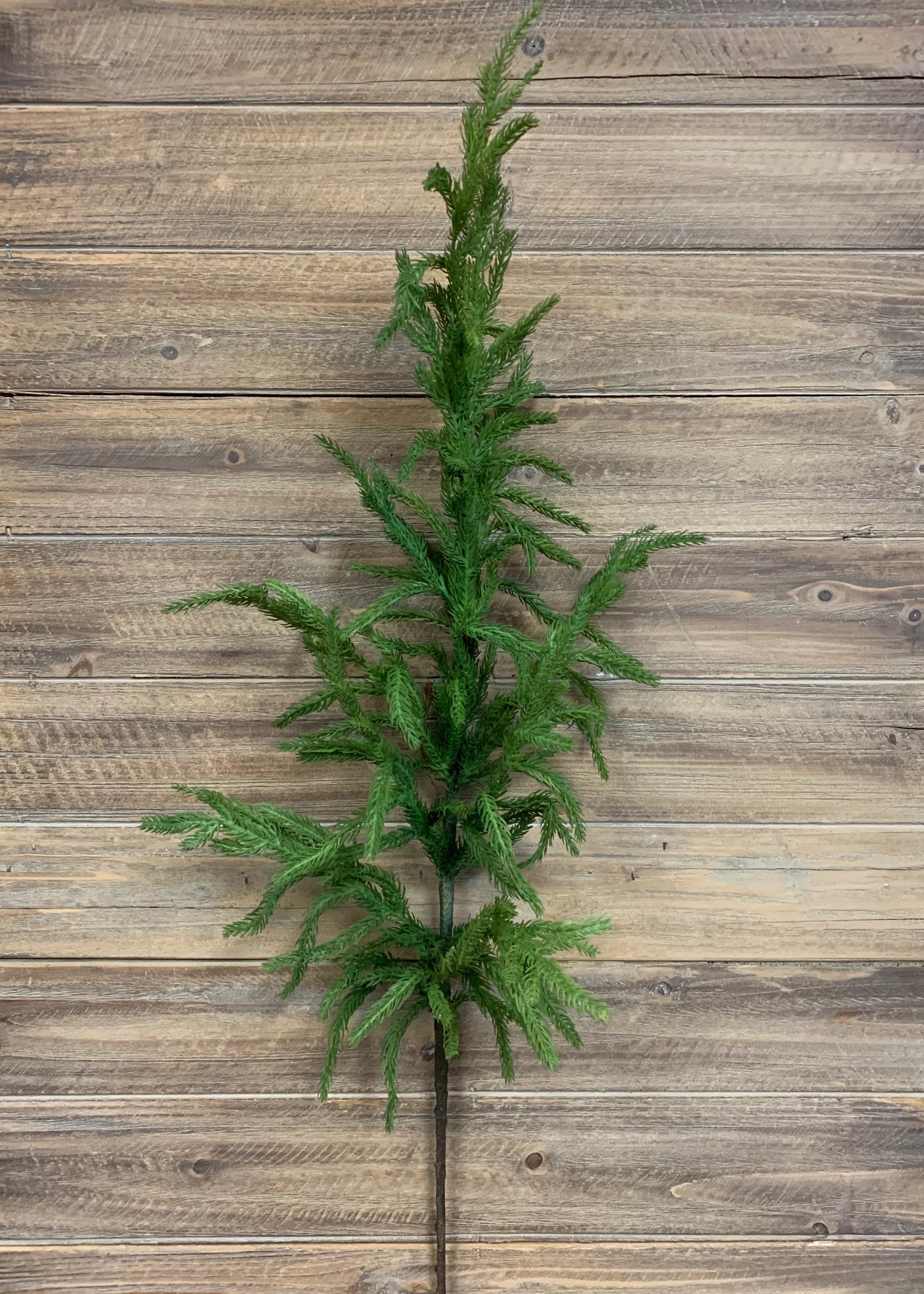 36" Real Touch Norfolk Pine Spray
