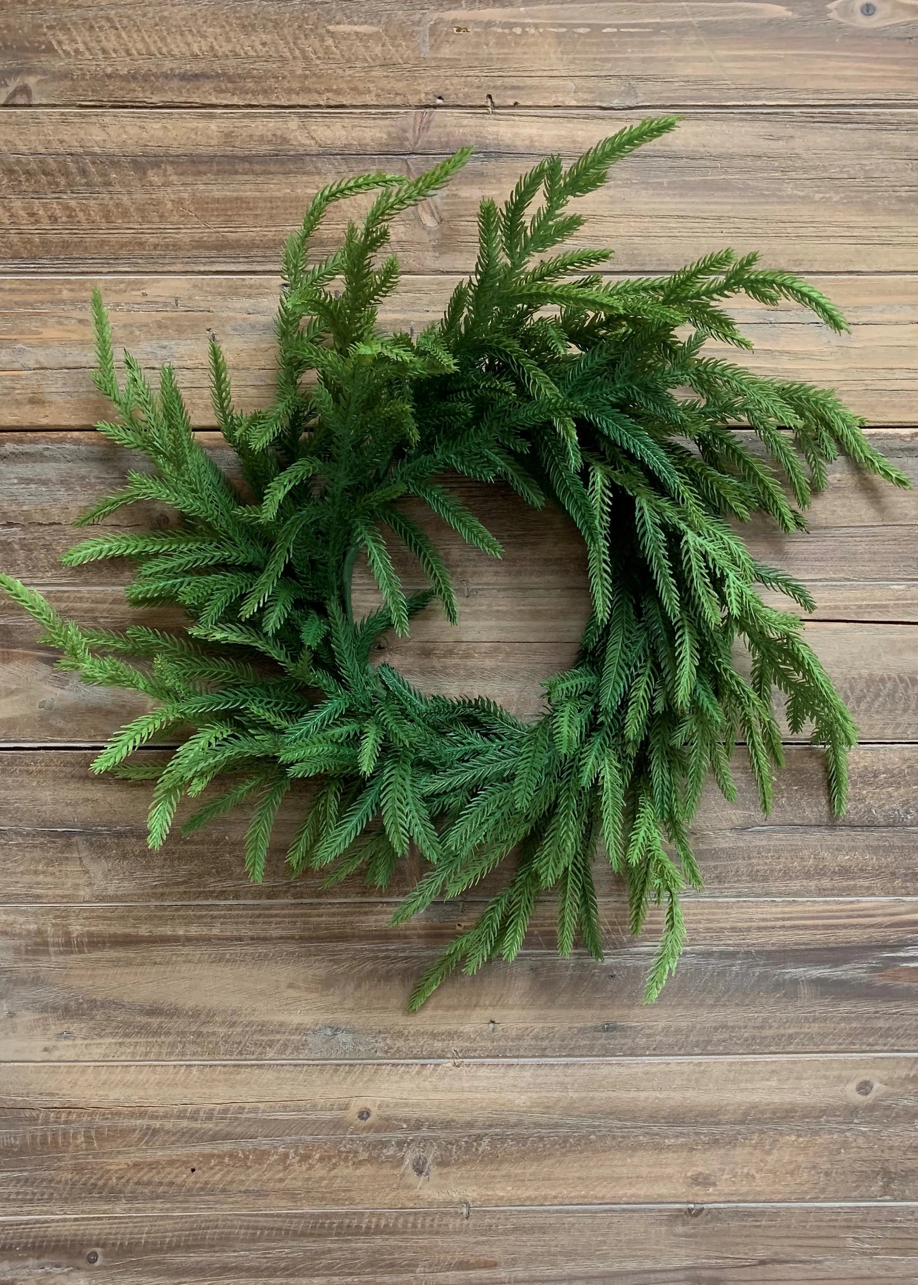 20" Real Touch Norfolk Pine Wreath