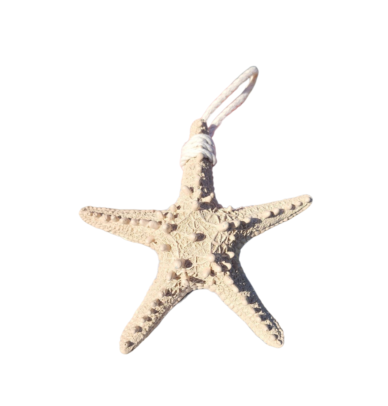 Hanging Starfish - Cream