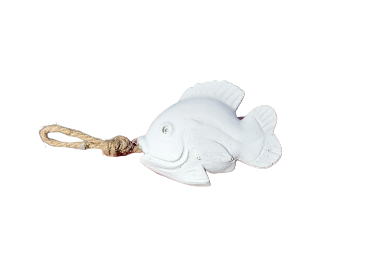 Hanging Fish Decor
