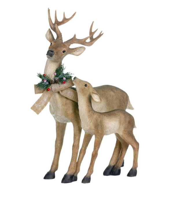 Standing Deer With Fawn
