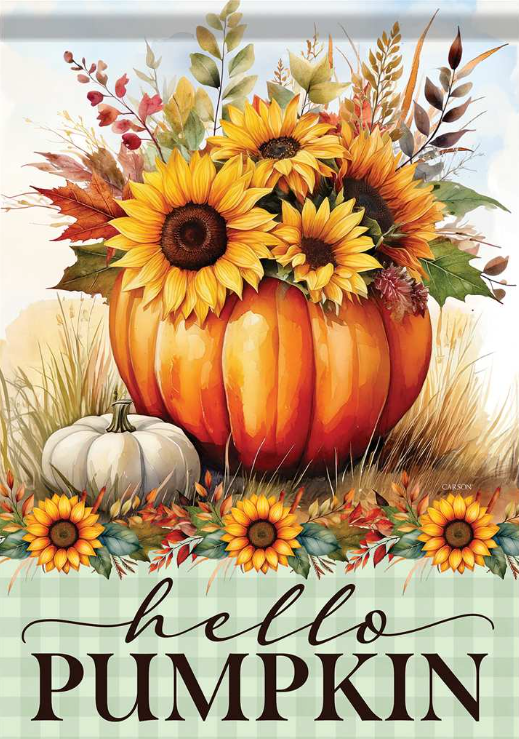 Hello Pumpkin Garden Flag