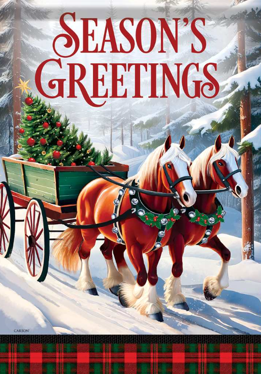 Horse Drawn Carriage Large Flag
