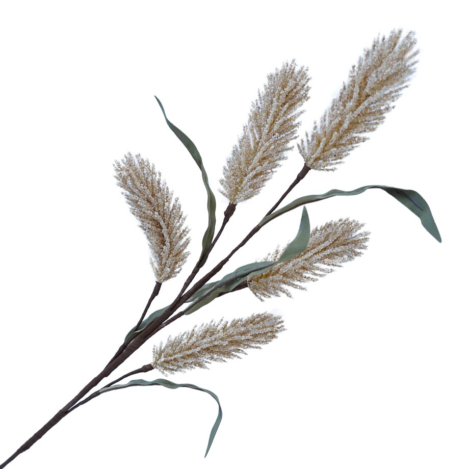 Sorgum Bush 25"