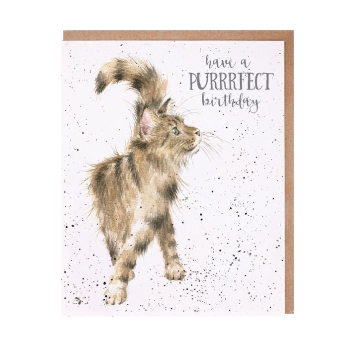 Just Purrfect Single Card