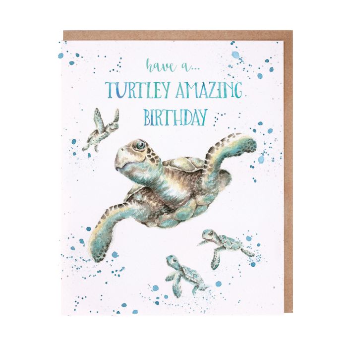 Turtley Amazing Single Card