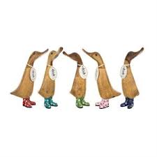 DCUK Floral Boots Ducklings
