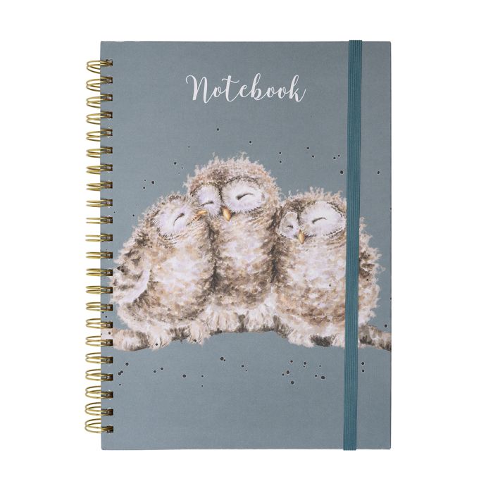'Owlets' Owl Large Spiral Bound Journal