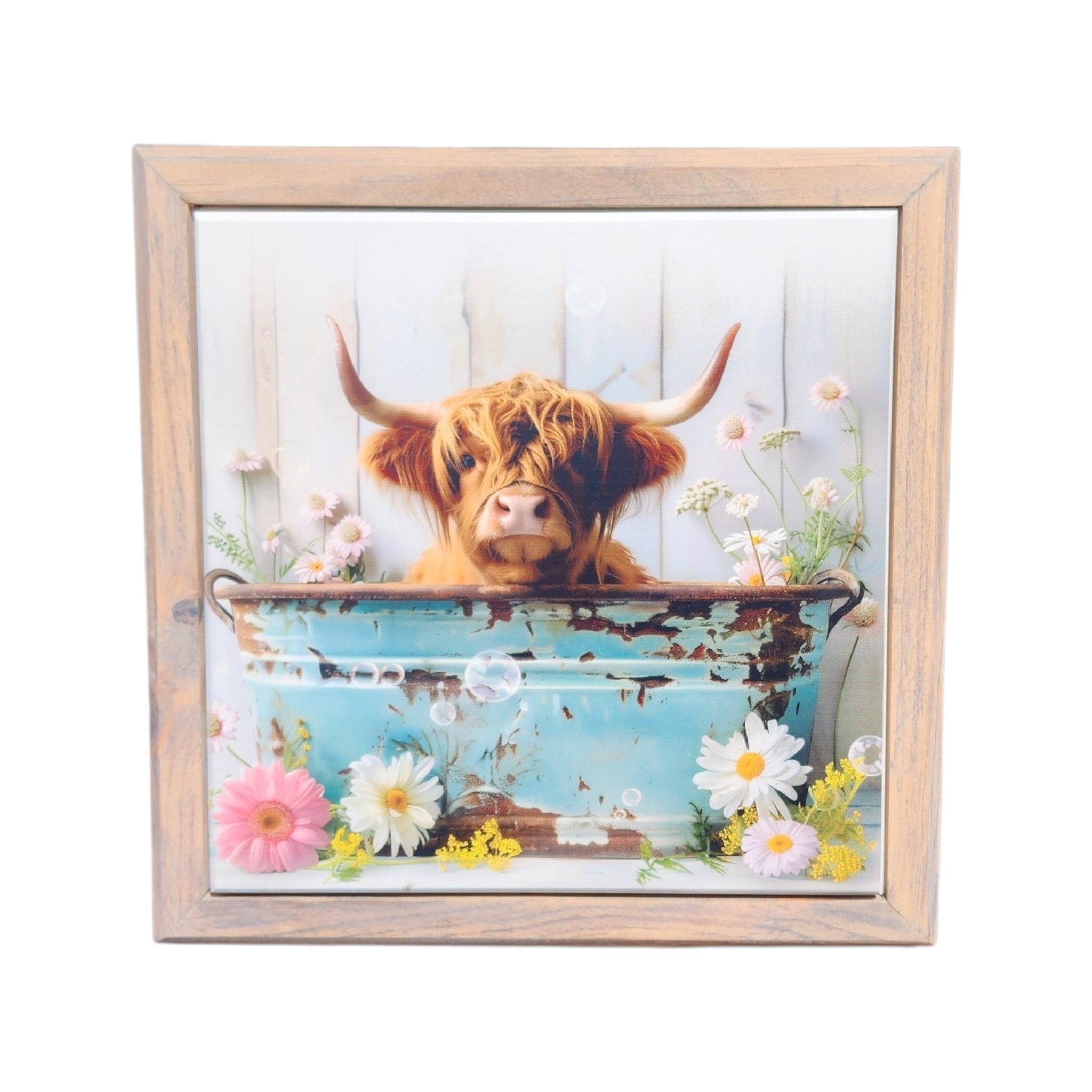 10.5X10.5 Framed Highland Cow in Blue Tub
