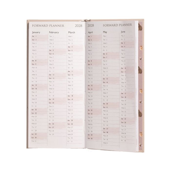 Slim Diary 2027