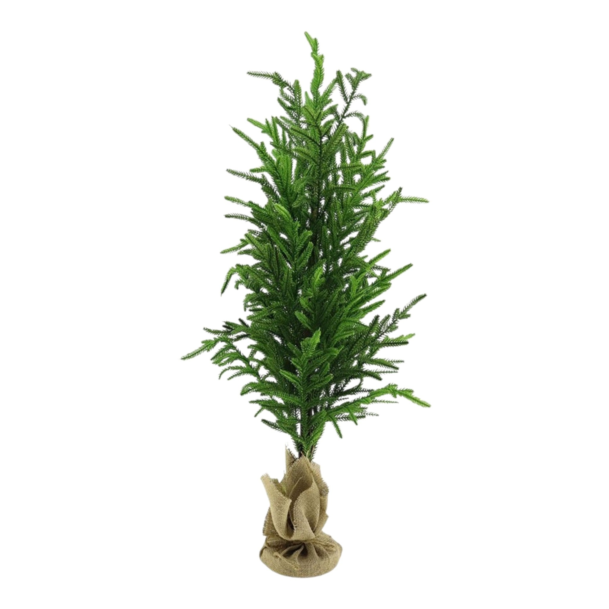 Tree Norfolk Pine Real Touch w/Burlap