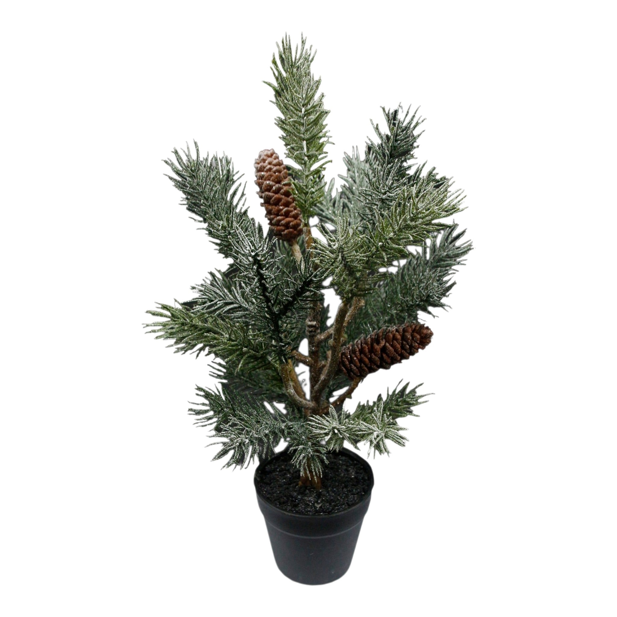 Tree Frosted w/Pinecones in Black Pot 14"