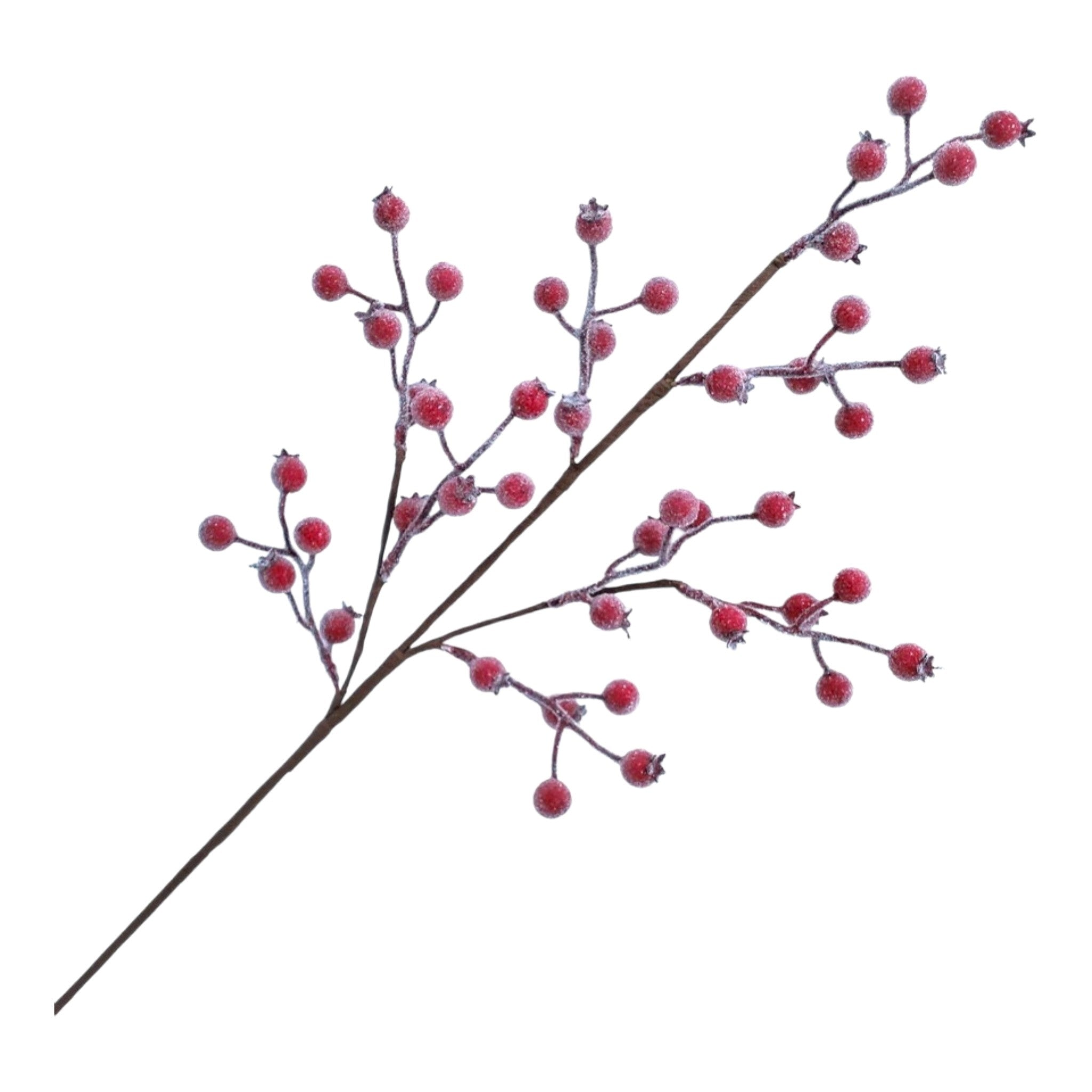 Spray Berry Red w/Frosted Ice 30"