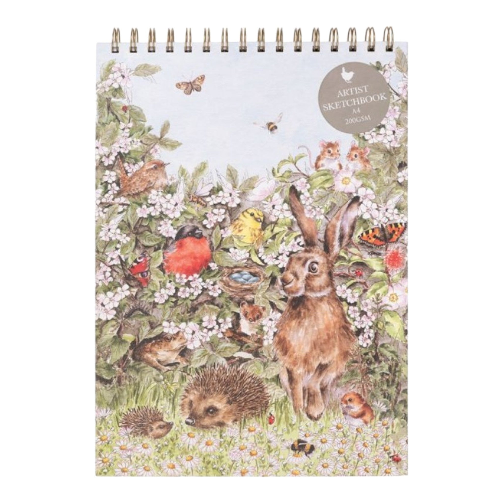 Nature Sketchbook Hedgerow