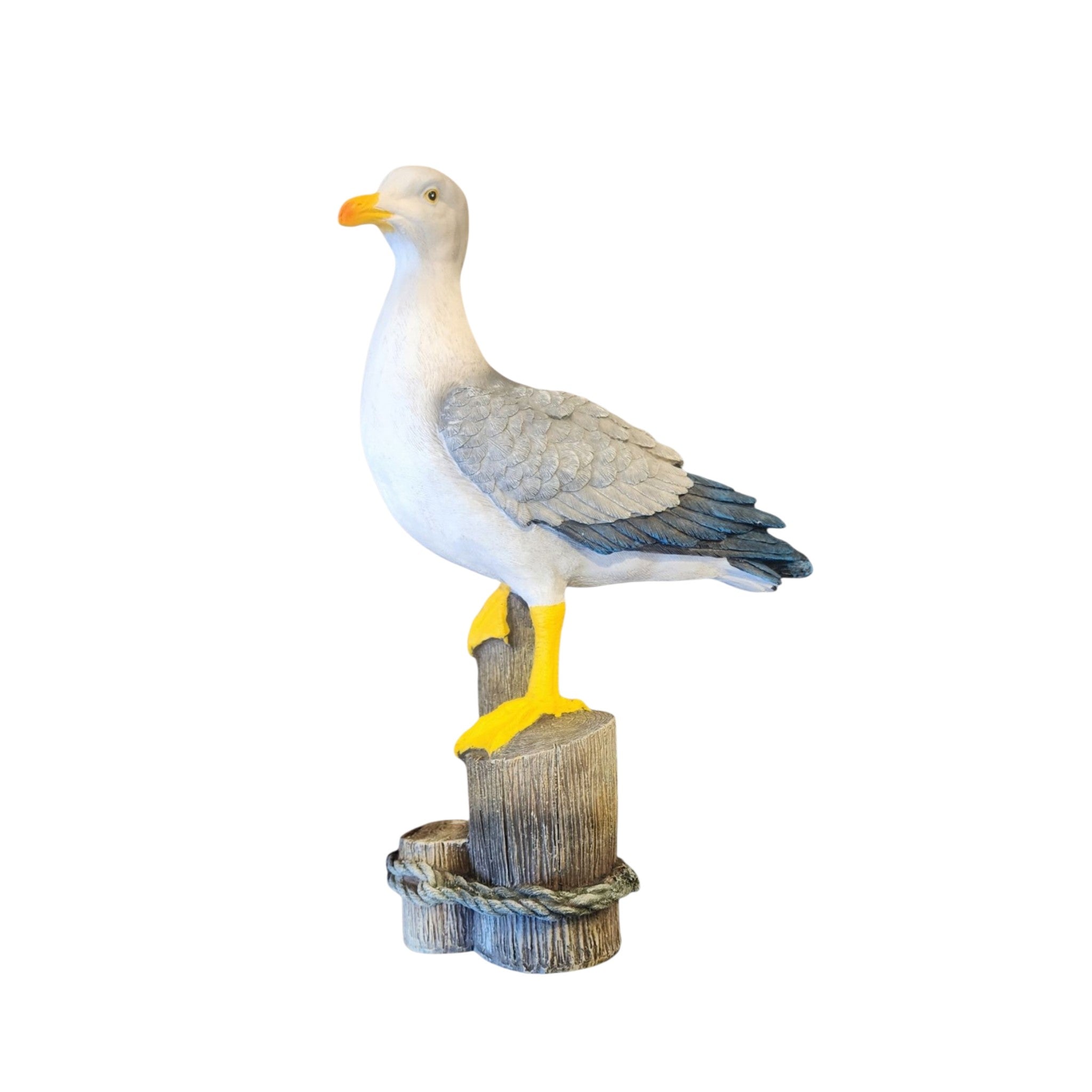 Large Seagull On Post
