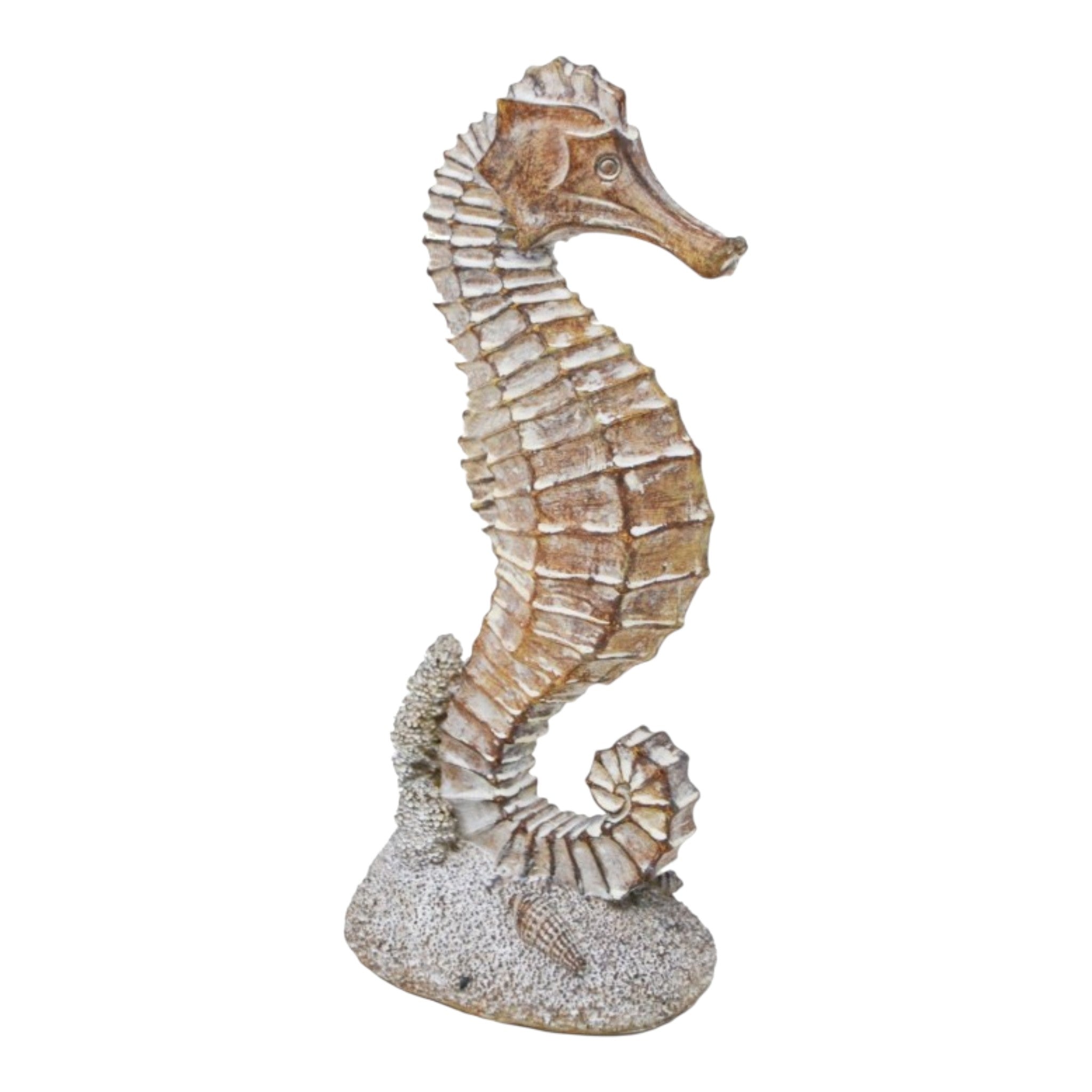 Decorative Seahorse