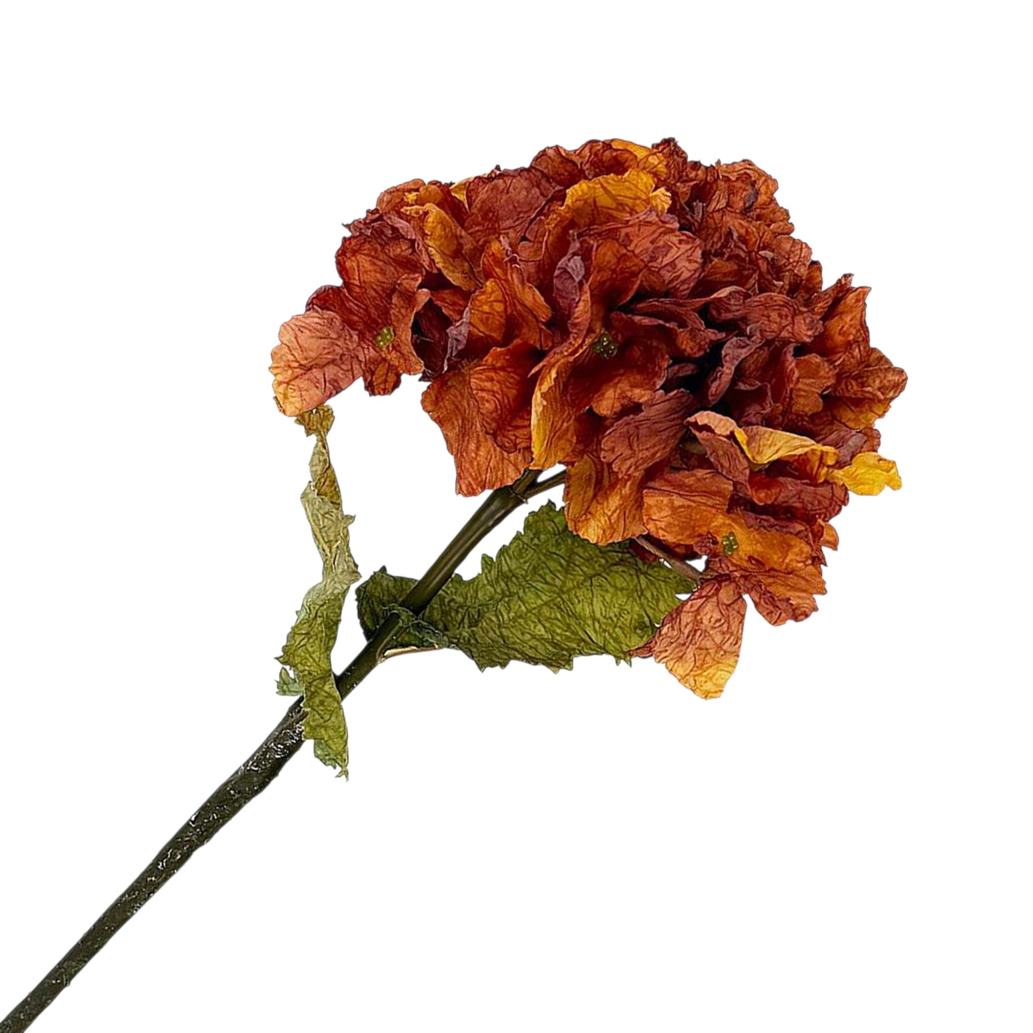 Fall Stem Hydrangea Dried 22" Rust Orange