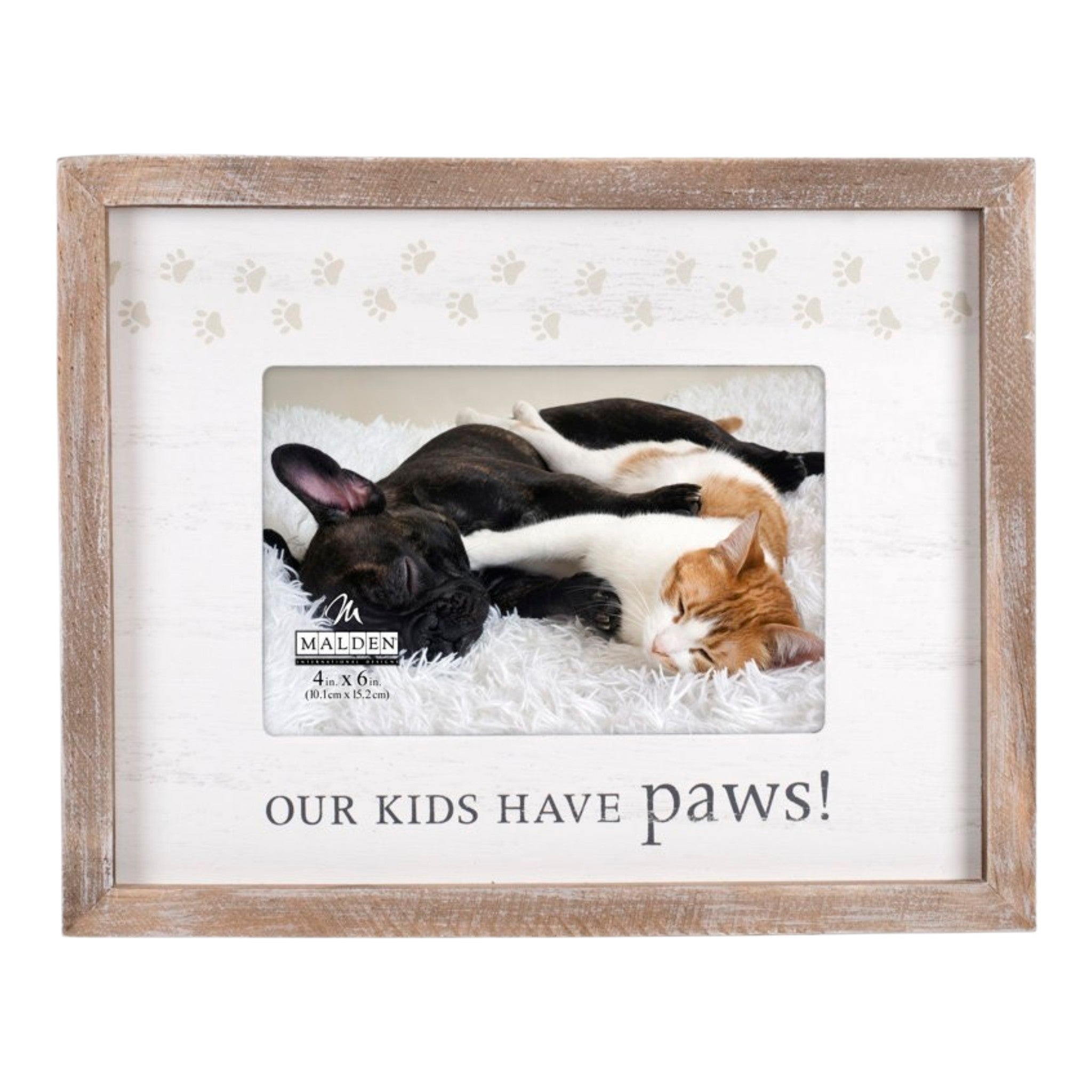 Our Kids Have Paws Frame 4x6