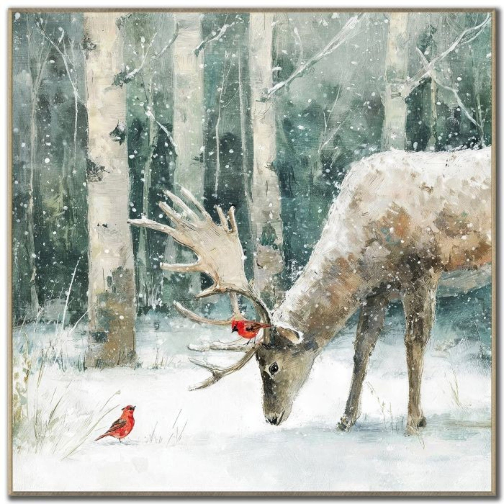 Cardinal's Greeting || 24x24