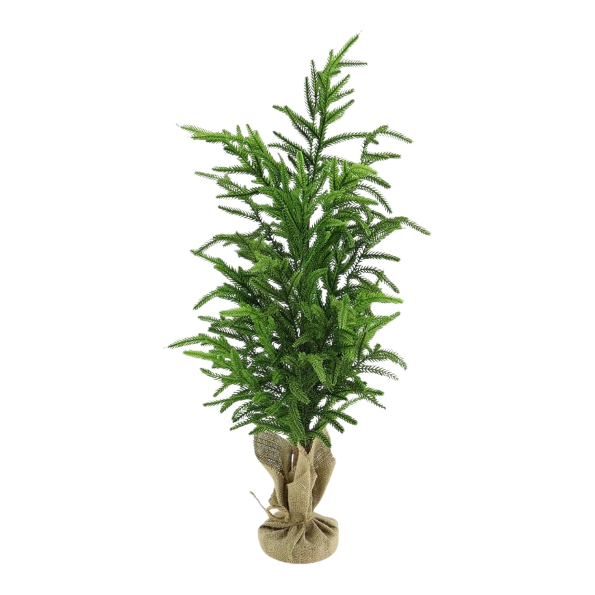 Tree Norfolk Pine Real Touch w/Burlap