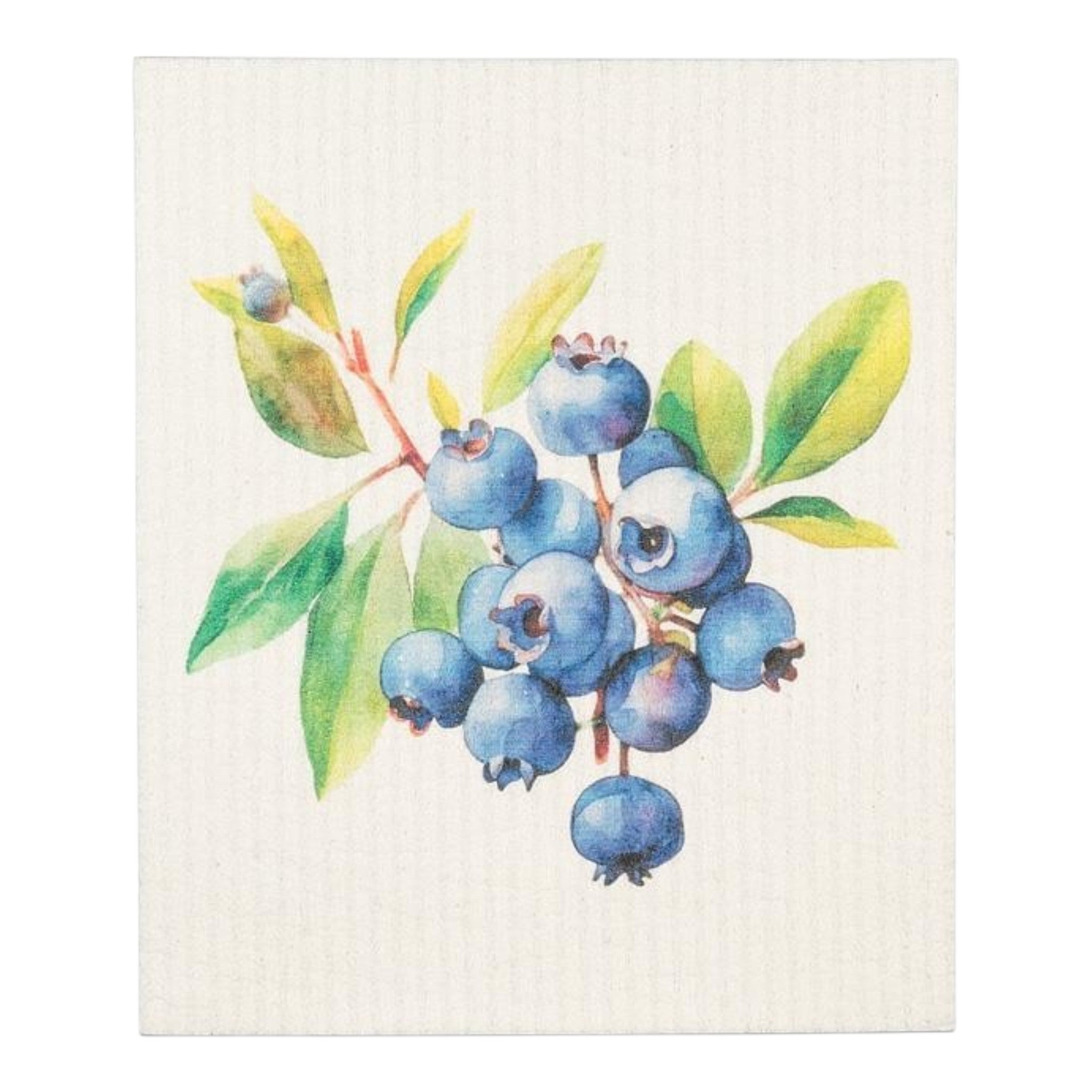 Blueberry Swedish Dishcloth
