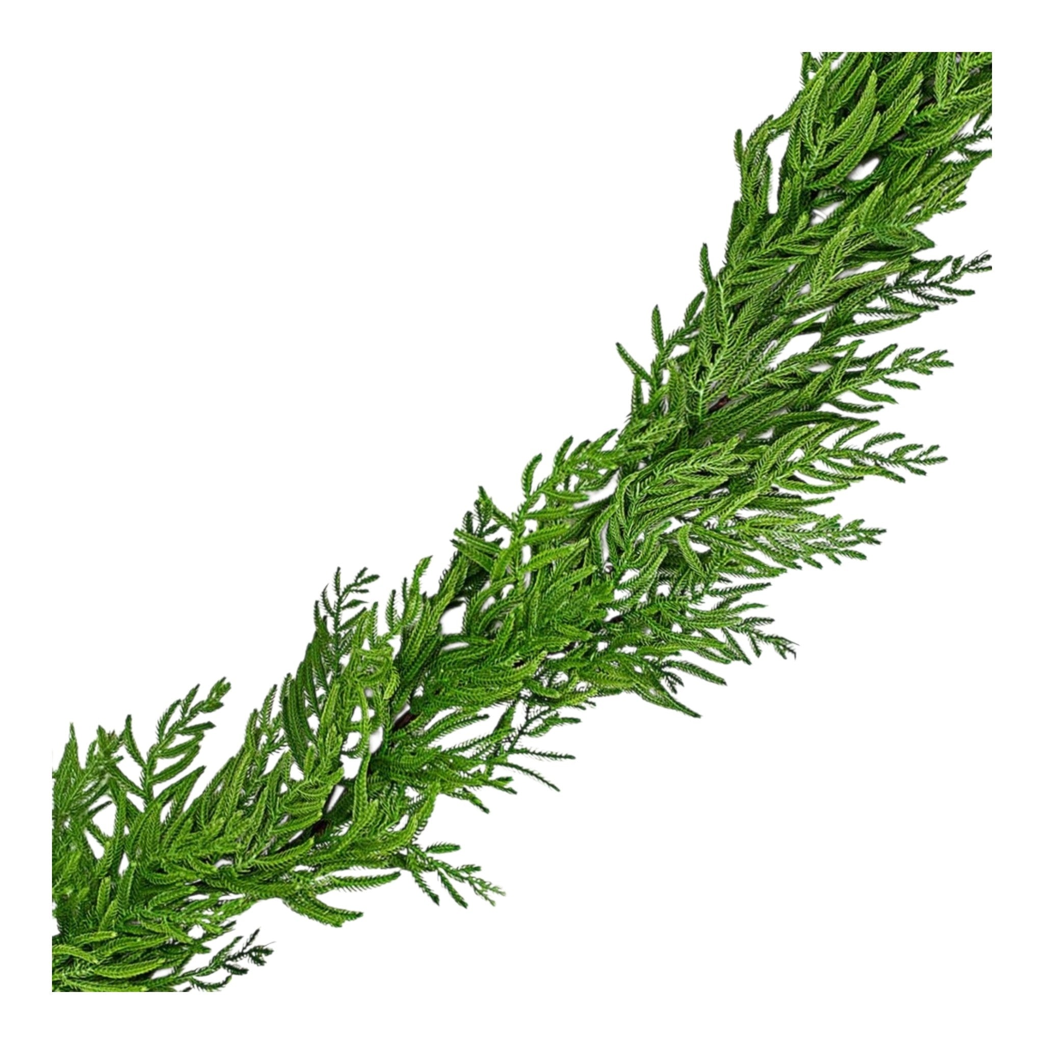 Garland Norfolk Pine Real Touch Green/Natural 12 Feet