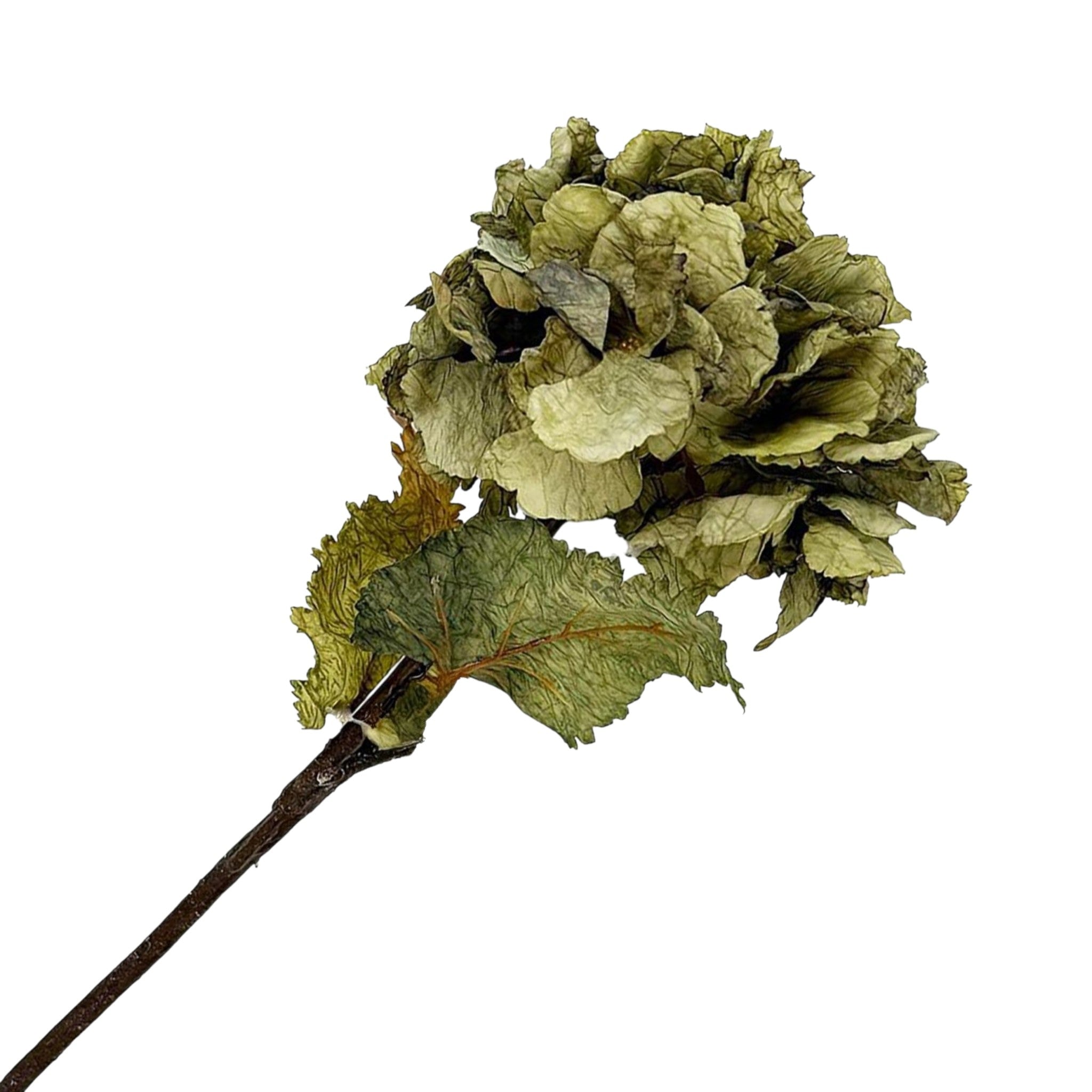 Fall Stem Hydrangea Dried 22" Sage Green