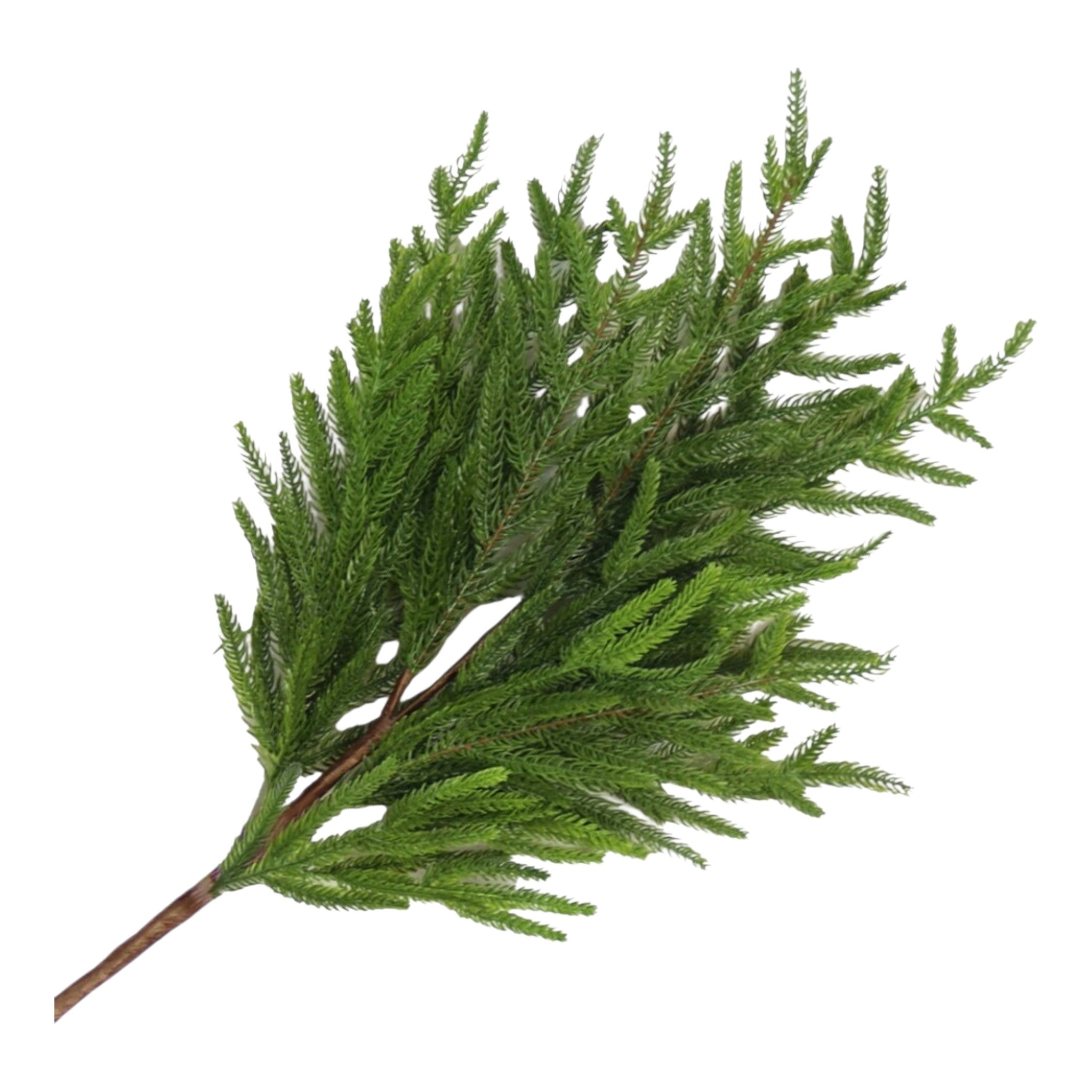 Spray Norfolk Real Touch Pine 36.5"