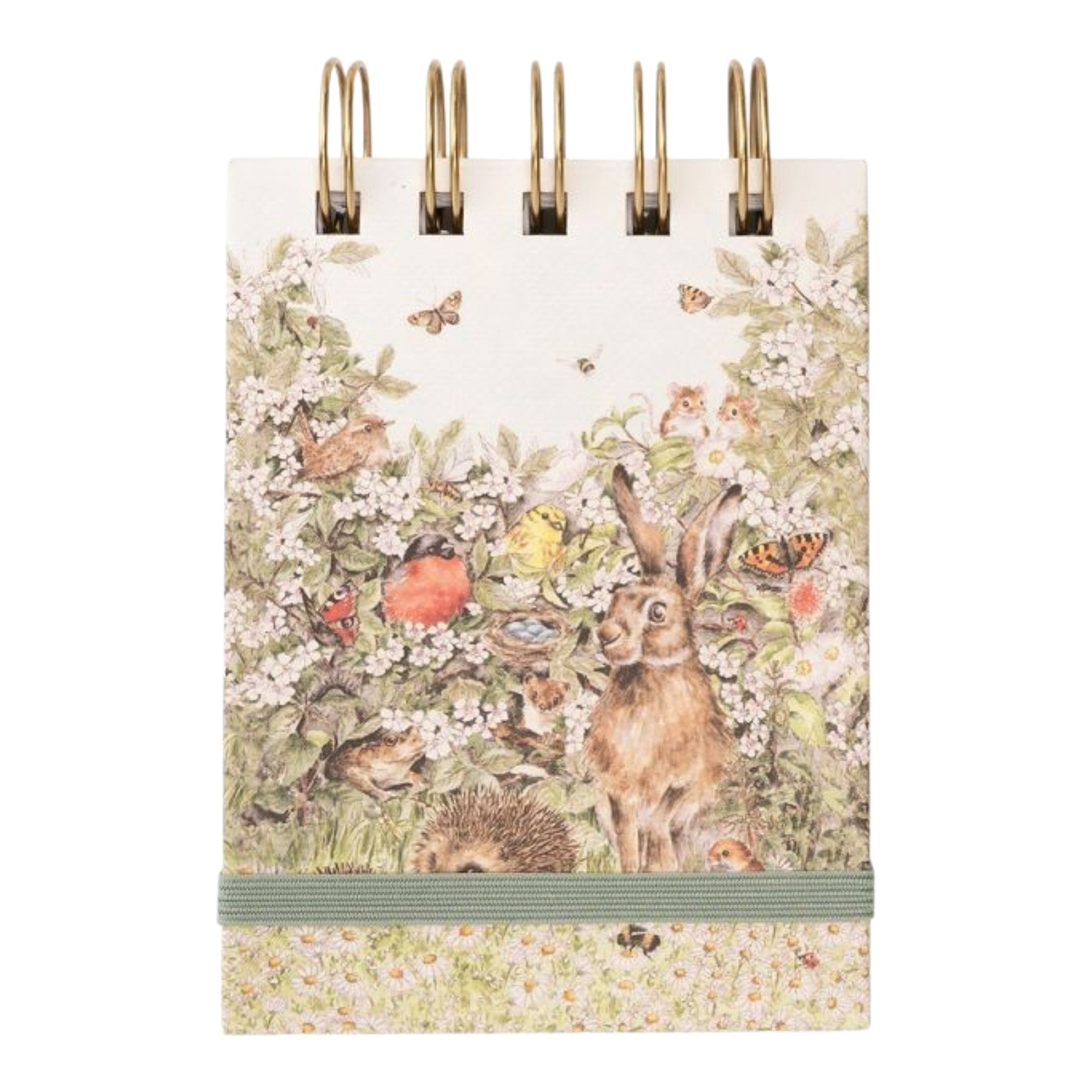 Nature Field Notebook Hedgerow