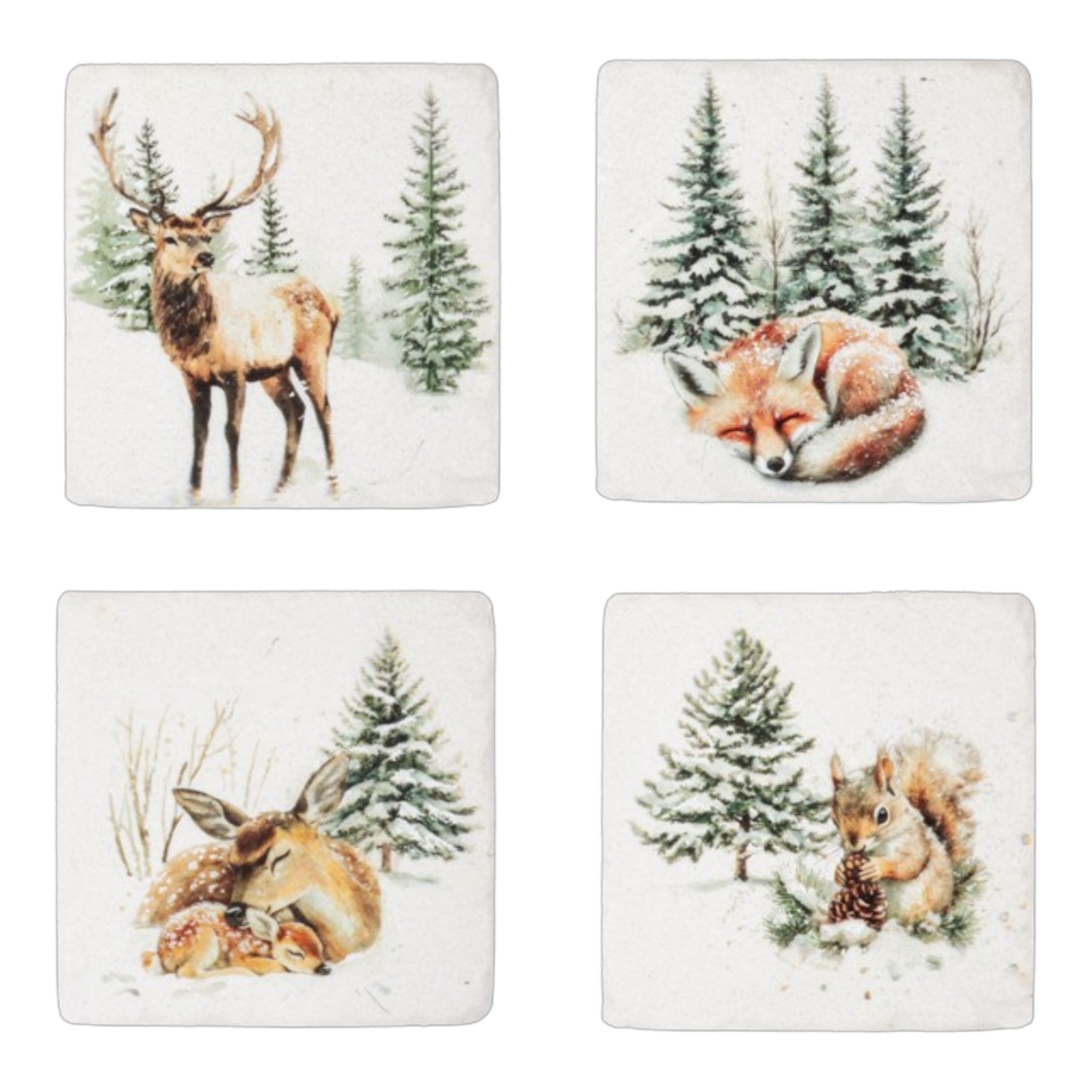Winter Wonderland Coaster 4 piece Set