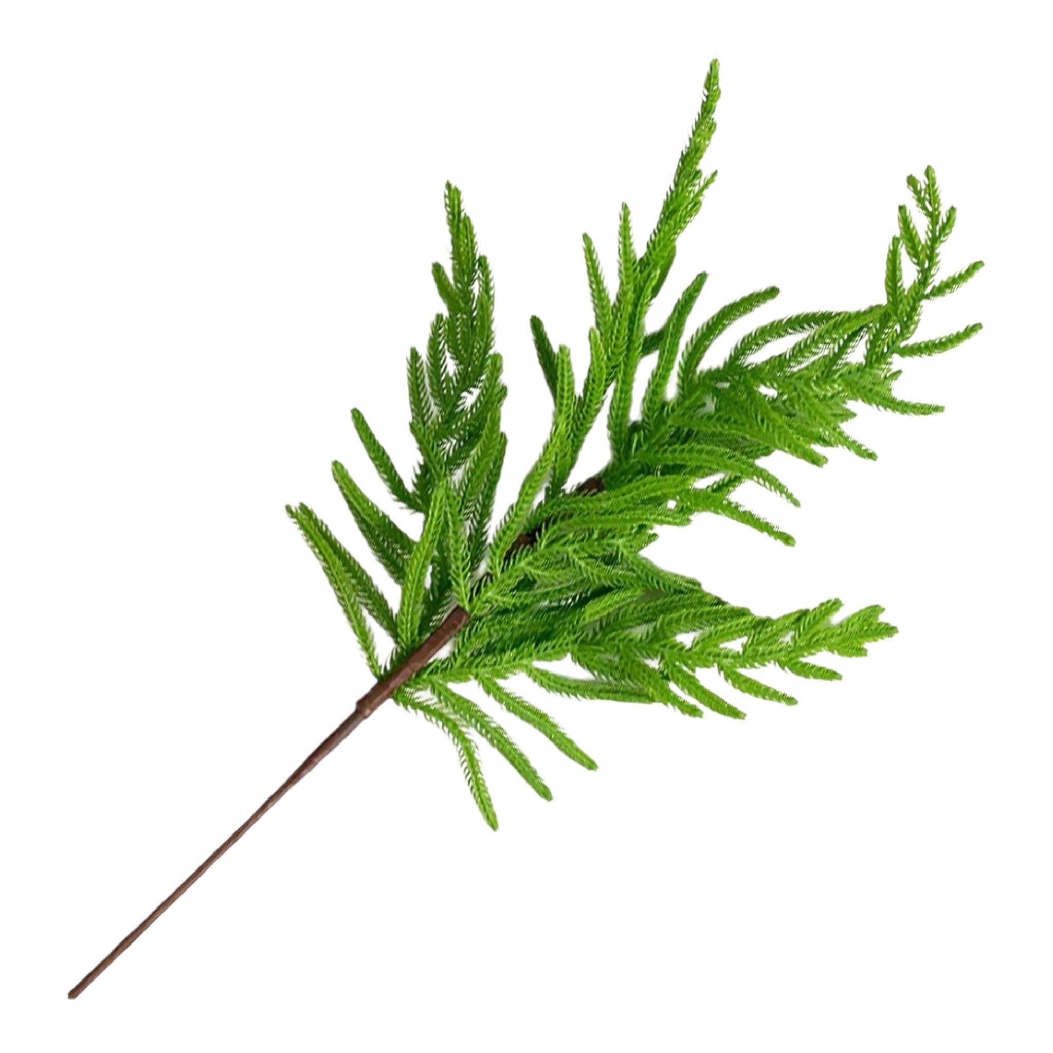 Spray Norfolk Pine Real Touch 24"