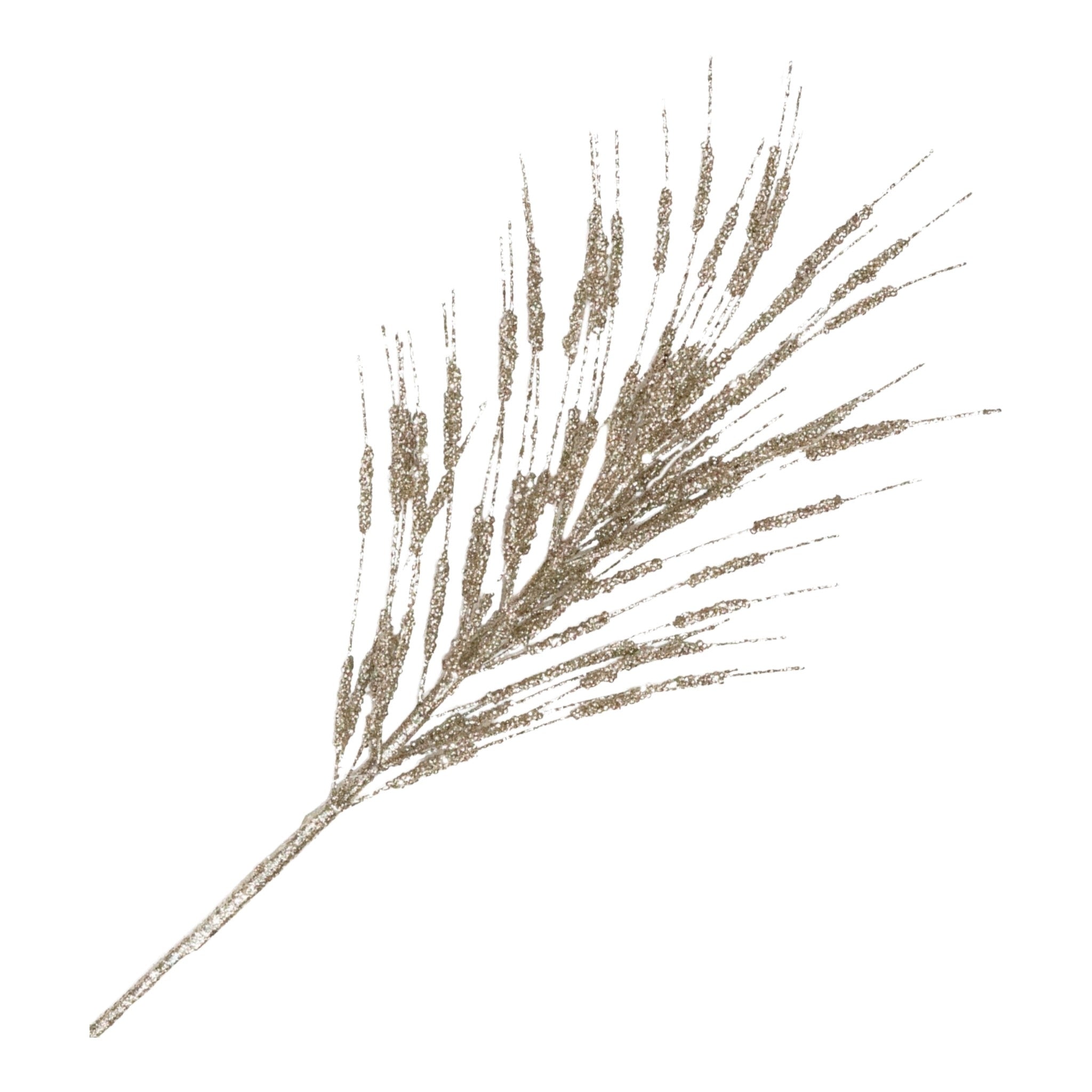 Spray Firework Feather Grass Champagne 24"