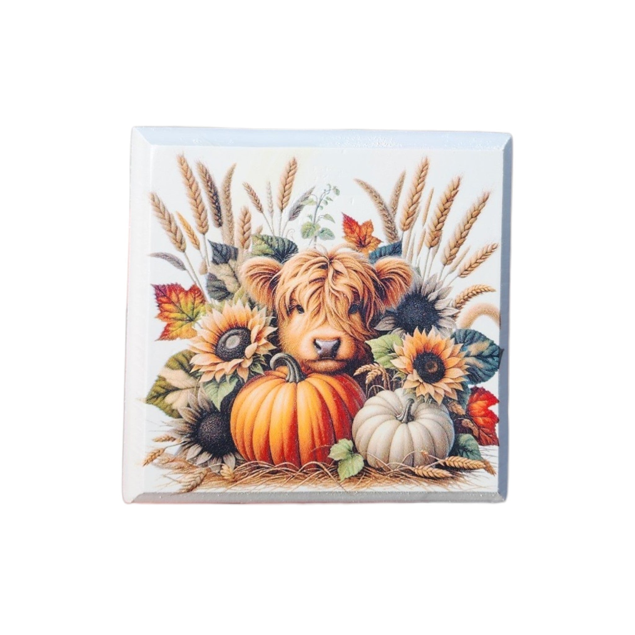 4"x4" Sign Highland Cow Pumpkins