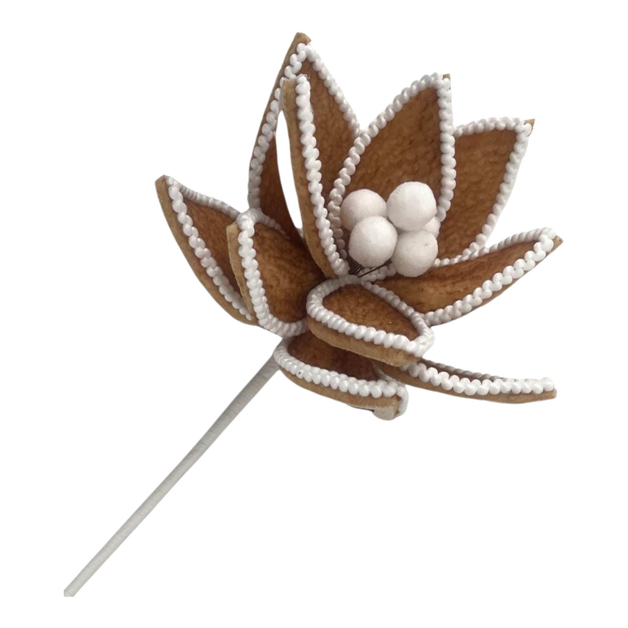Poinsettia Gingerbread Stem Brown & White 24"