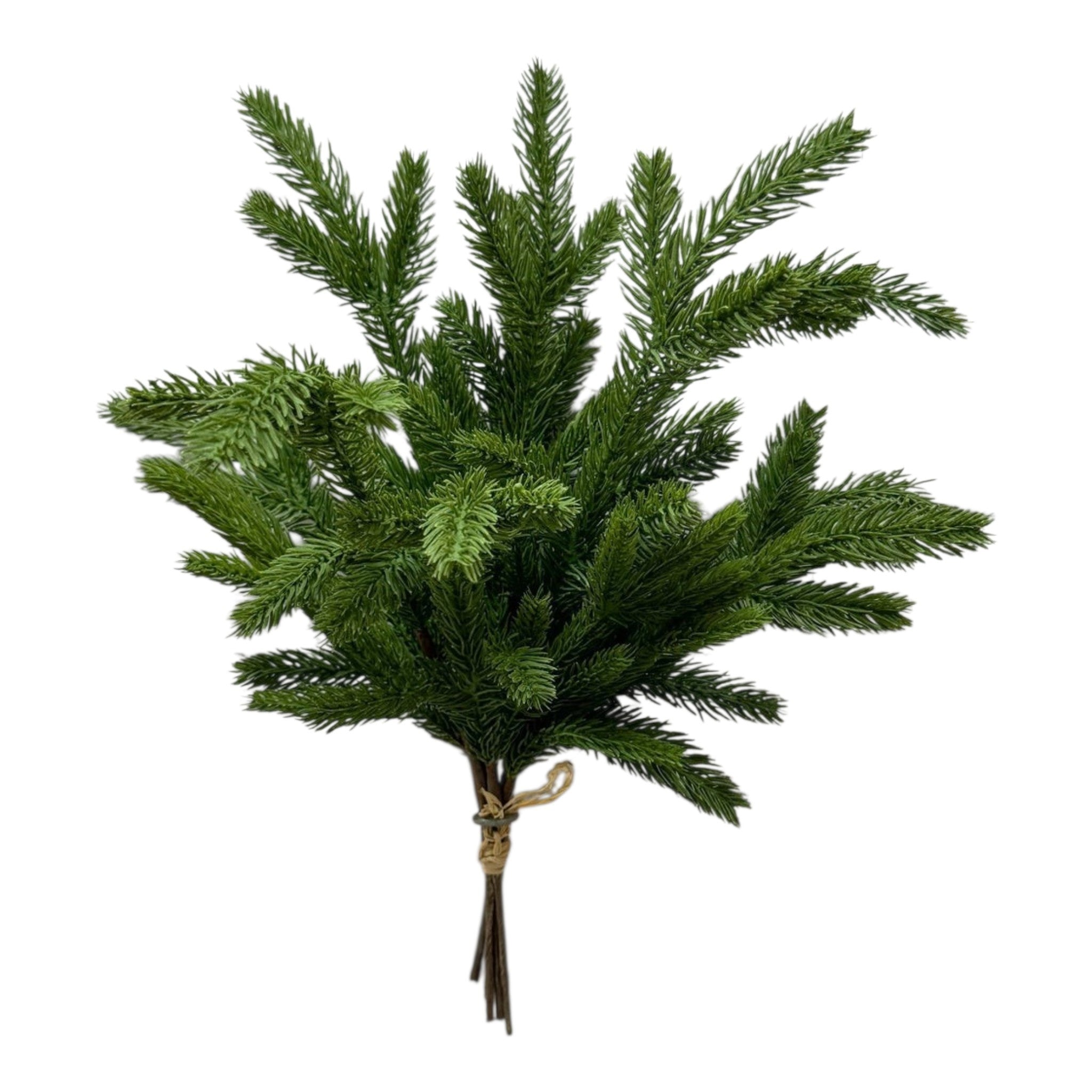 15" Fresh Touch Spruce Bundle
