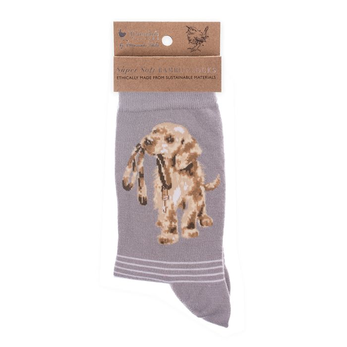 Dog Sock - Hopeful