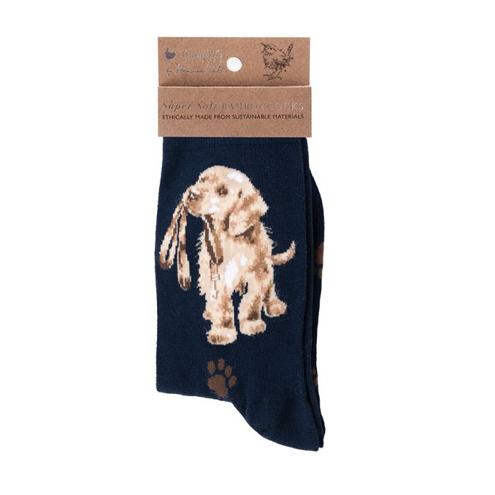 Dog Sock - Hopeful - Navy